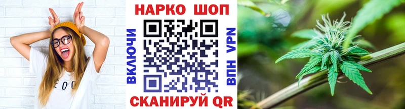 Виды наркотиков купить Кудрово ГАШ  Alpha PVP  Меф  АМФЕТАМИН  КОКАИН  Экстази  Каннабис 