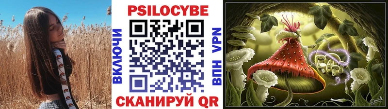 Псилоцибиновые грибы GOLDEN TEACHER  Кудрово 